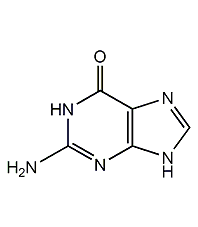 鳥嘌呤