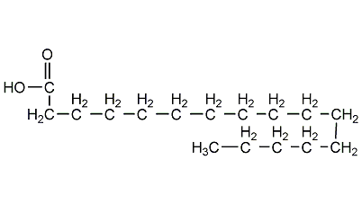 棕櫚酸
