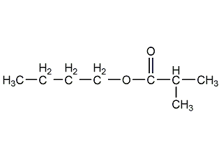 異丁酸丁酯
