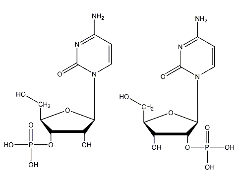 尿苷酸