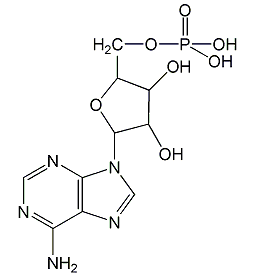 腺苷-5'-單磷酸