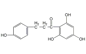 根皮素