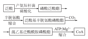 輔酶A