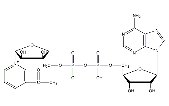 3-乙酰吡啶腺嘌呤二核苷酸