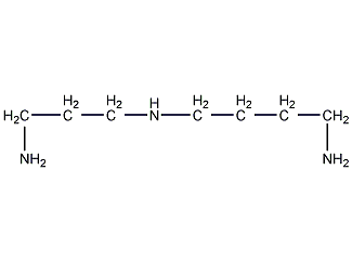 亞精胺