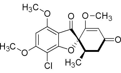 灰黃霉素