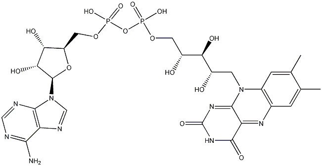 腺嘌呤黃素