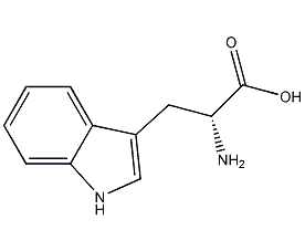 D-色氨酸