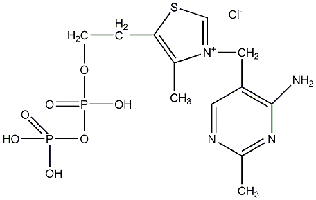 輔羧酶