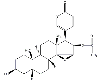 華蟾蜍精