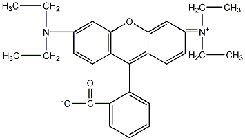 羅丹明B堿性