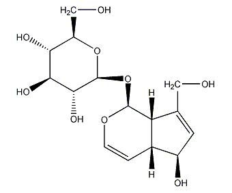 珊瑚苷