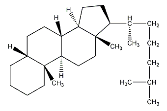 5β-膽甾烷