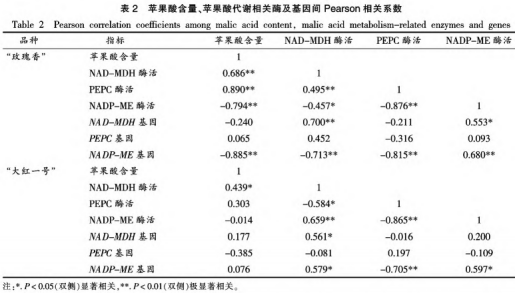 紅肉火龍果采后品質劣變及蘋果酸代謝研究（三）