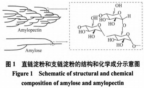 辛烯基琥珀酸淀粉鈉的合成及結(jié)構(gòu)表征研究進(jìn)展（一）
