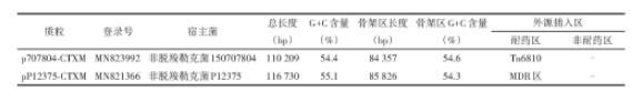 兩個來自非脫羧勒克菌的MDR質(zhì)粒耐藥機(jī)制研究（一）