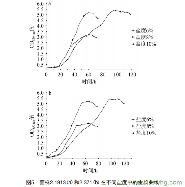 以腌漬辣椒水作為發(fā)酵劑發(fā)酵干辣椒的微生物篩選（三）