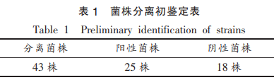 產(chǎn)共軛亞油酸菌株的篩選及其發(fā)酵性質(zhì)研究（一）