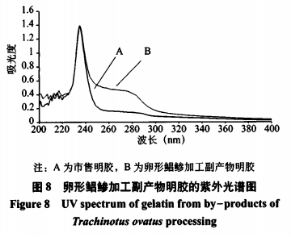 卵形鯧鯵加工副產(chǎn)物中明膠的提取工藝及性質(zhì)研究(四）