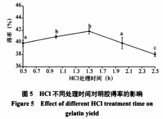 卵形鯧鯵加工副產(chǎn)物中明膠的提取工藝及性質(zhì)研究(三）