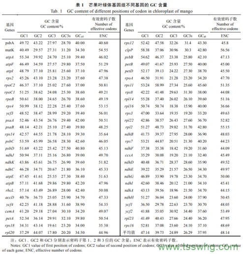 芒果葉綠體基因組密碼子使用偏好性分析（一）