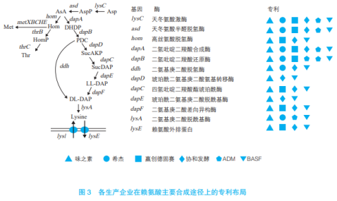 賴氨酸工業(yè)發(fā)展的機(jī)遇與挑戰(zhàn)（二）