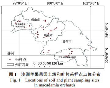 云南澳洲堅(jiān)果園土壤和葉片養(yǎng)分評(píng)價(jià)（一）