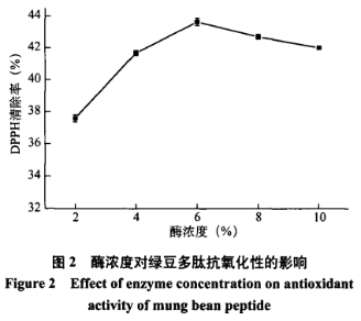 響應(yīng)面法優(yōu)化綠豆抗氧化肽的制備工藝（二）