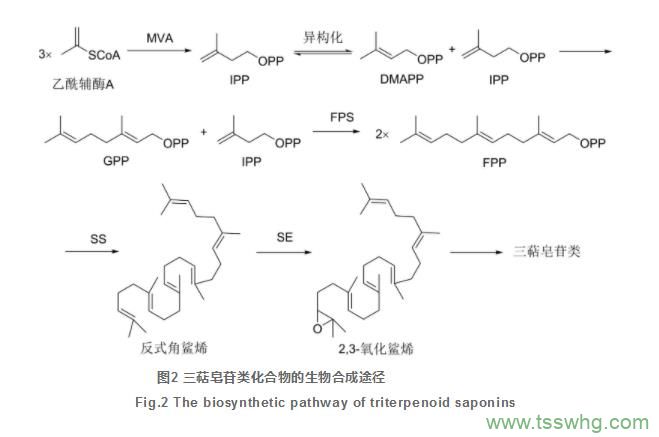 過磷酸鈣中有效磷(P2O5)含量的測(cè)定（三）