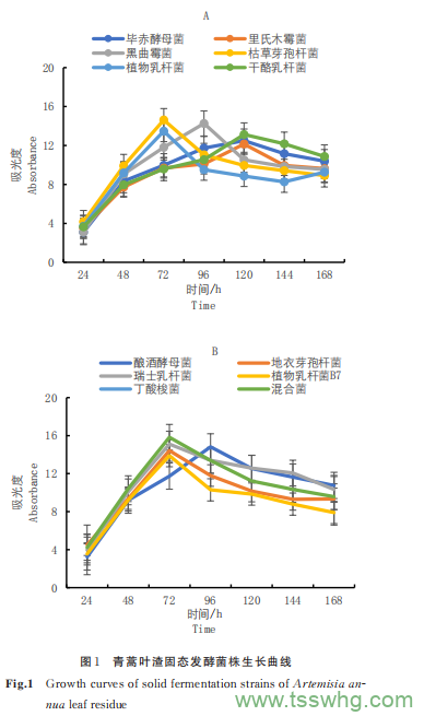 11 類菌種固態(tài)發(fā)酵對(duì)青蒿葉渣功效成分的影響（二）