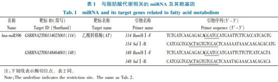 甘藍(lán)型油菜乙酰轉(zhuǎn)移酶基因的克隆及功能驗(yàn)證（一）