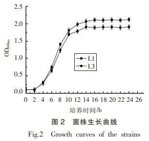 植物乳桿菌和棒狀乳桿菌對發(fā)酵蘿卜干風(fēng)味品質(zhì)的影響（二）